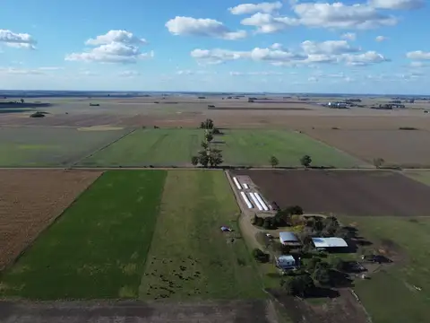 Campo en Venta Agrícola