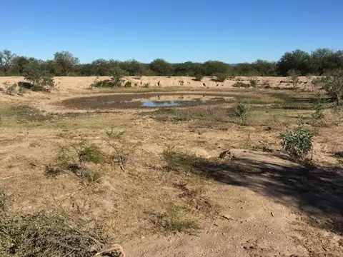 Campo 180 ha Ganadero en Venta Villa de Soto