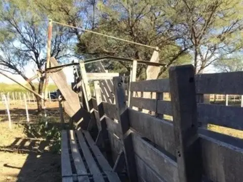 Campo 180 Ha Ganadero En Venta Villa De Soto