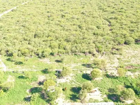 Campo 180 ha Ganadero en Venta Villa de Soto