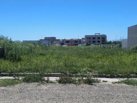 San Lorenzo Chico. Ciudad Oeste. Mza 25. Lote 100