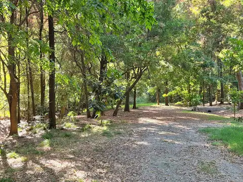 LOTE EN CHASCOMUS CERCA DE LA LAGUNA