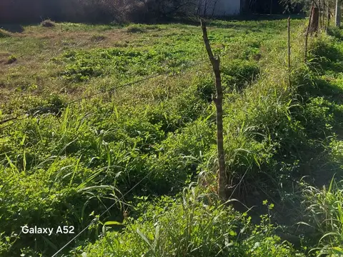 TERRENOS EN VENTA S.J DEL RINCÓN C. DEL BALNEARIO