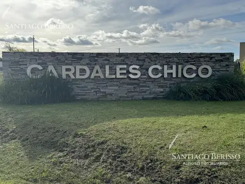 Terreno en  CARDALES CHICO
