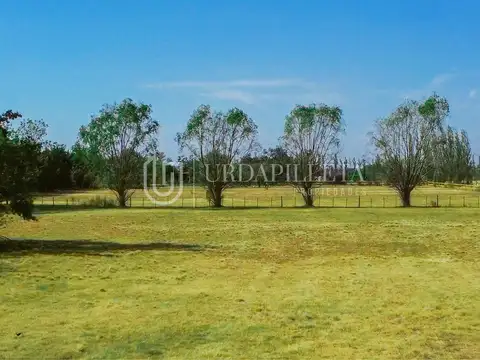Terreno en Venta 124  mts Fondo