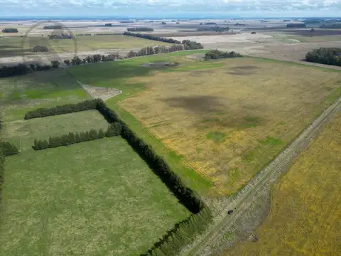 Campo en arrendamiento en Mar Chiquita | 40 hectareas