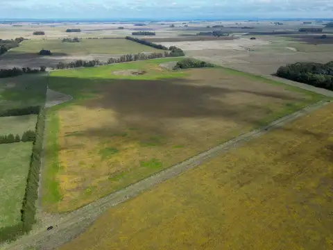 Campo en arrendamiento en Mar Chiquita | 40 hectáreas