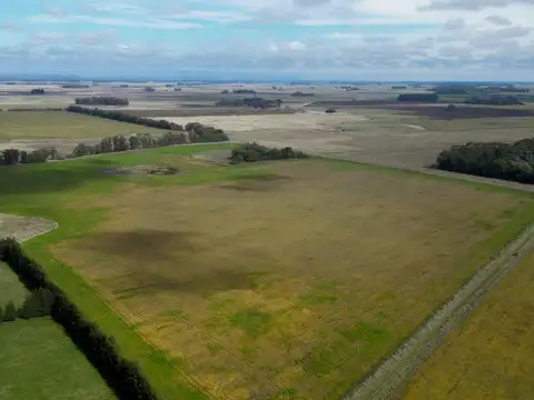 Campo en arrendamiento en Mar Chiquita | 40 hectáreas
