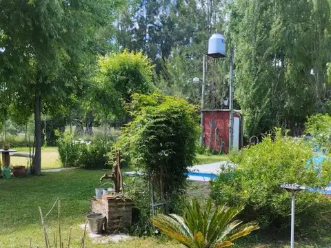 MISTRAL (1 en google) 3600
