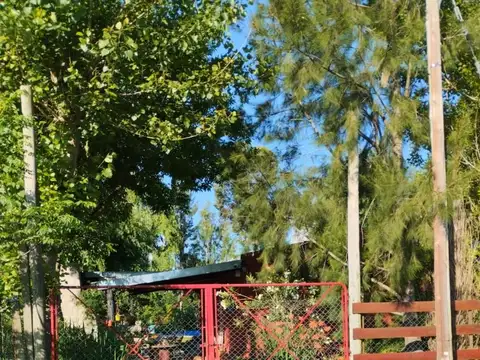 Quinta en Venta en Domselaar, USD 55.000