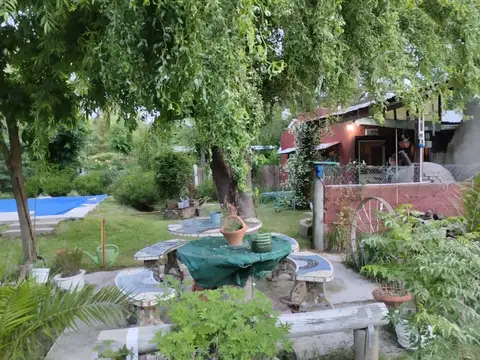 Quinta - Venta - Argentina, DOMSELAAR - MISTRAL (1 en google) 3623