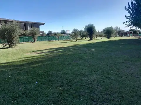 Lote interno en venta en Barrio Olivos de Furlotti