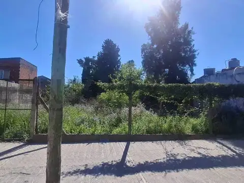 Campo en Alquiler de 0,06  ha