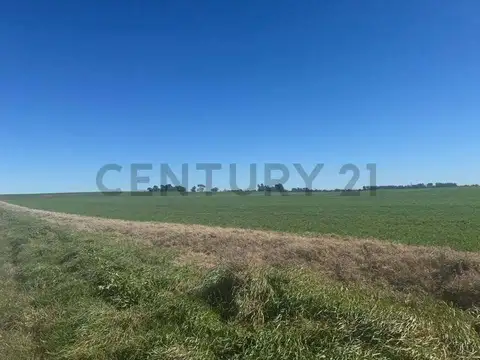 VENDEMOS FRACCION DE CAMPO AGRICOLA DE 40 HAS.