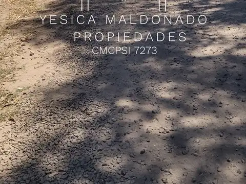 San Marcos 300