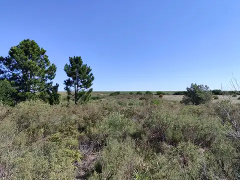 Terreno en Venta de 10000,0 m2