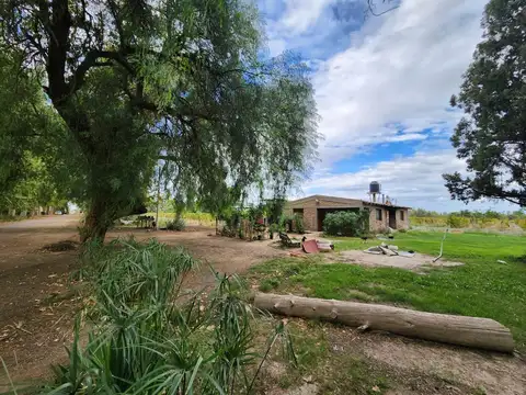 Finca en  Venta  80 hac con derecho de riego , pozos y cultivos