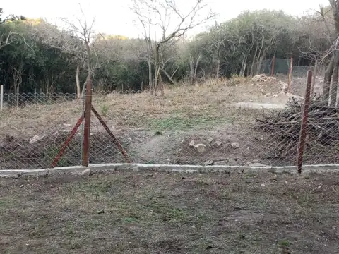 De Los Chañares