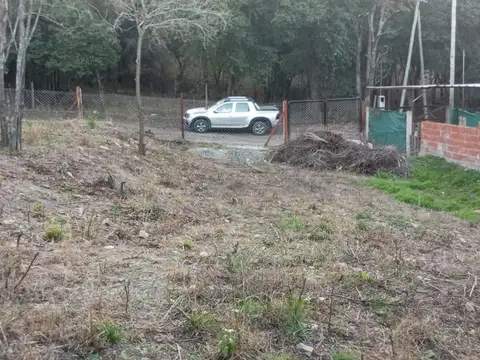 De Los Chañares