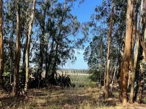 Terreno en Venta de 8817,0 m2