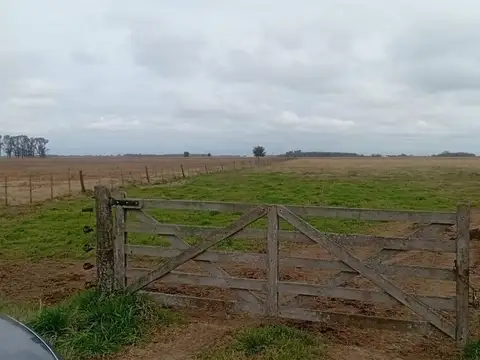 CAMPO MIXTO EN VENTA 143 HAS, RANCHOS, GENERAL PAZ
