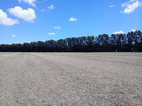 Campo en Gobernador Castro