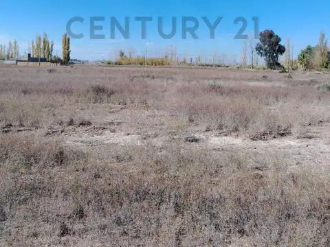 RUTA PROVINCIAL 34 , Piso LOTE E-19