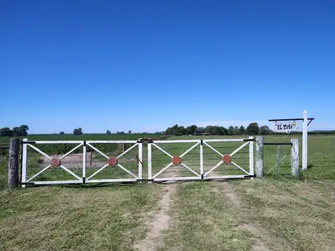 167 has Dpto Gualeguaychú muy buen campo agrícola ganadero