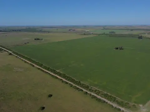 167has campo agrícola ganader