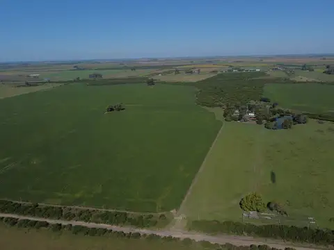 Campo en Venta de 167  ha