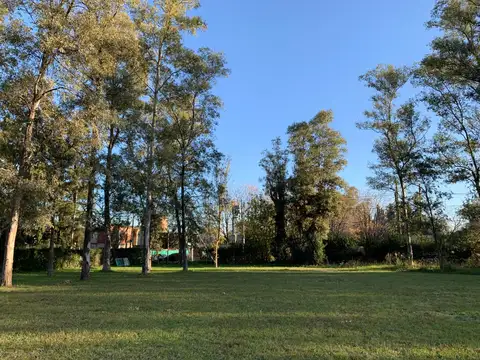 Terreno en Venta 12,50  mts Frente