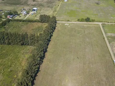 Camino rural campo soso