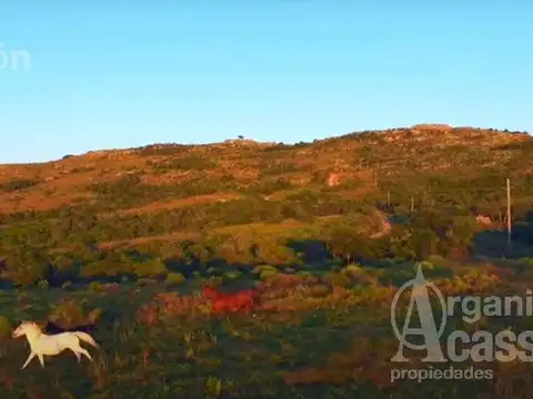 Chacras de Las Cañas Ruta 39