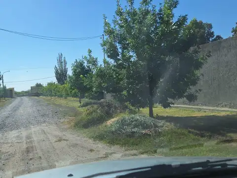 Pueyrredón s/n