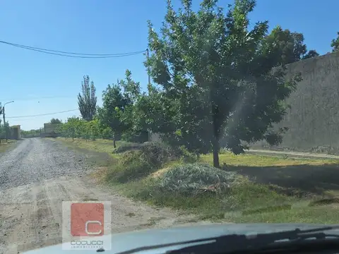 Pueyrredón s/n