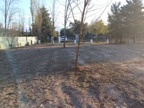 Carril Barriales s/n RP60 100