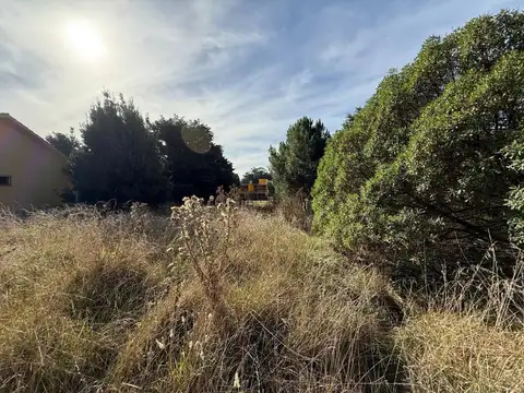 Terreno en Venta 43  mts Fondo