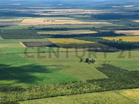 VENTA CAMPO EN ENTRE RIOS 1447 HECTAREAS
