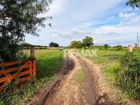 VENTA 6 HAS EN RECREO - IDEAL INVERSIÓN CON RENTA