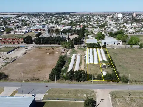 LOTES EN VENTA. ZONA INDUSTRIAL. LEONES, CÓRDOBA.