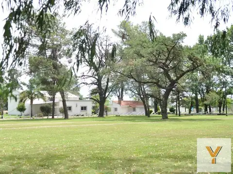 Mar del Plata e/ Pigue y Olavarría