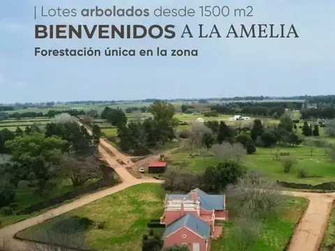LOTE EN VENTA LA AMELIA