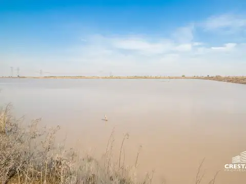 Terreno en Venta de 10000,0 m2