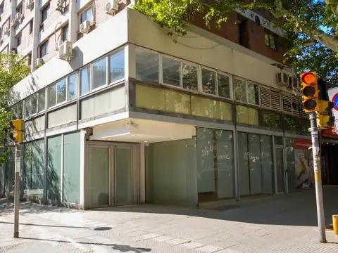 Avenida San Martín al 800