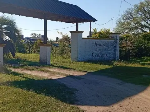 LOTE EN AYRES DE COLONIA