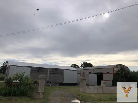Ruta 226 y La Pampa
