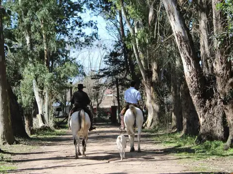 Terreno 13.500m2 Quinta Chacra en Venta Pilar GBA Zona Norte