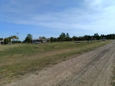 Carcaraes