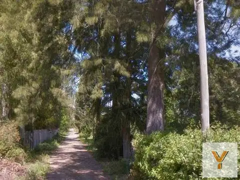 Terreno en venta - 338 mts2 - Arturo Seguí