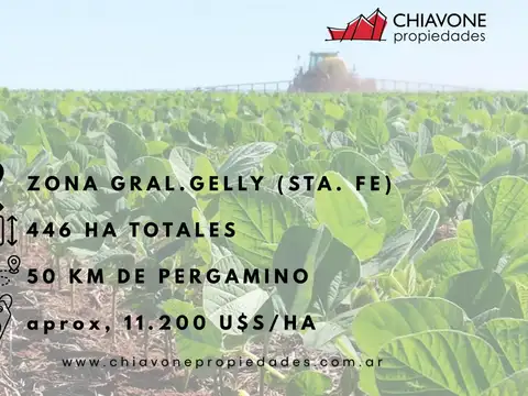 446 ha mixtas en venta - Gral Gelly, Sta. Fe